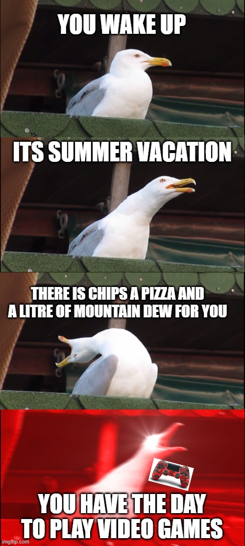 Inhaling Seagull | YOU WAKE UP; ITS SUMMER VACATION; THERE IS CHIPS A PIZZA AND A LITRE OF MOUNTAIN DEW FOR YOU; YOU HAVE THE DAY TO PLAY VIDEO GAMES | image tagged in memes,inhaling seagull | made w/ Imgflip meme maker