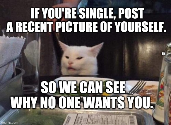 Salad cat | IF YOU'RE SINGLE, POST A RECENT PICTURE OF YOURSELF. J M; SO WE CAN SEE WHY NO ONE WANTS YOU. | image tagged in salad cat | made w/ Imgflip meme maker