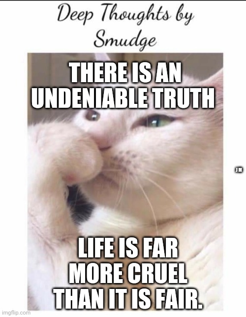 Smudge | THERE IS AN UNDENIABLE TRUTH; J M; LIFE IS FAR MORE CRUEL THAN IT IS FAIR. | image tagged in smudge | made w/ Imgflip meme maker