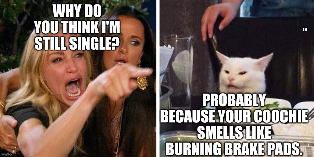 Smudge the cat | WHY DO YOU THINK I'M STILL SINGLE? J M; PROBABLY BECAUSE YOUR COOCHIE SMELLS LIKE BURNING BRAKE PADS. | image tagged in smudge the cat | made w/ Imgflip meme maker
