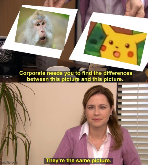 haha monkey | image tagged in they are the same picture | made w/ Imgflip meme maker