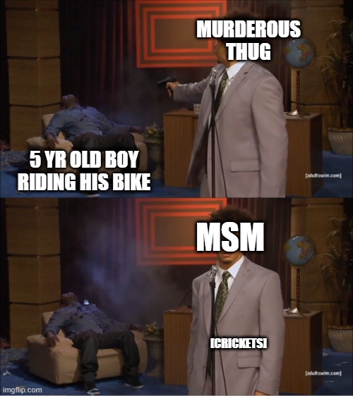 Who Killed Hannibal Meme | MURDEROUS THUG 5 YR OLD BOY RIDING HIS BIKE MSM [CRICKETS] | image tagged in memes,who killed hannibal | made w/ Imgflip meme maker