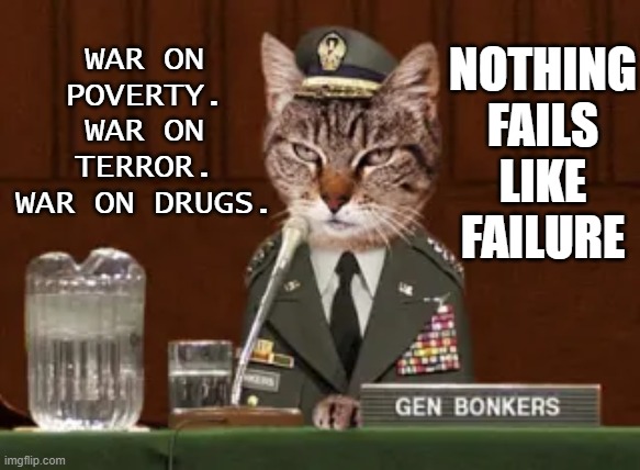War on Poverty. War on Terror. War on Drugs. Nothing fails like failure. | NOTHING FAILS LIKE FAILURE; WAR ON POVERTY.
WAR ON TERROR.
WAR ON DRUGS. | image tagged in cat general | made w/ Imgflip meme maker