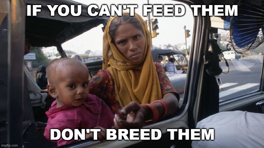 If You Can't Feed Them, Don't Breed Them. | IF YOU CAN'T FEED THEM; DON'T BREED THEM | image tagged in overpopulation | made w/ Imgflip meme maker