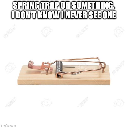 Is this spring trap | SPRING TRAP OR SOMETHING. I DON'T KNOW I NEVER SEE ONE | image tagged in fnaf 3 | made w/ Imgflip meme maker