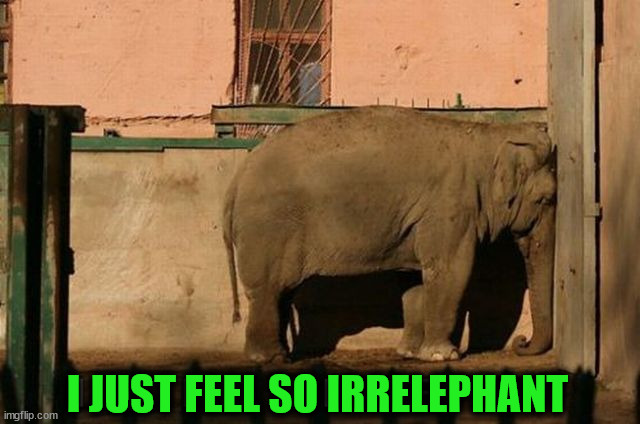 I JUST FEEL SO IRRELEPHANT | image tagged in eyeroll | made w/ Imgflip meme maker