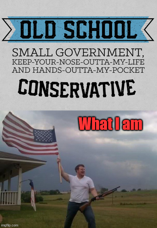 What I am | What I am | image tagged in gun loving conservative | made w/ Imgflip meme maker