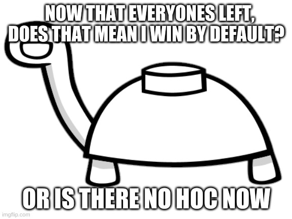 like really... im confused | NOW THAT EVERYONES LEFT, DOES THAT MEAN I WIN BY DEFAULT? OR IS THERE NO HOC NOW | image tagged in mine turtle | made w/ Imgflip meme maker