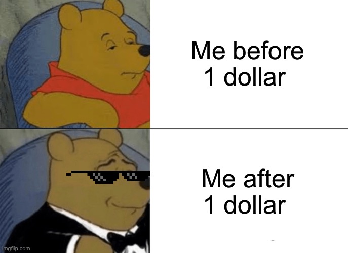 Now I’m rich | Me before 1 dollar; Me after 1 dollar | image tagged in memes | made w/ Imgflip meme maker