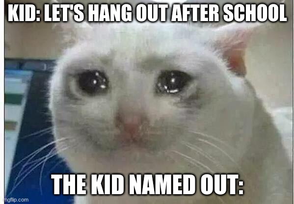 crying cat | KID: LET'S HANG OUT AFTER SCHOOL; THE KID NAMED OUT: | image tagged in crying cat | made w/ Imgflip meme maker