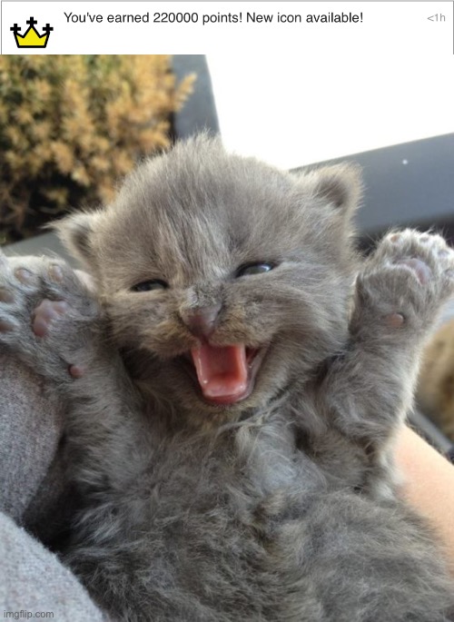 In a month | image tagged in yay kitty | made w/ Imgflip meme maker