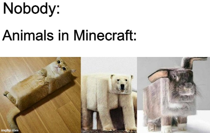 They look cute tho | Nobody:; Animals in Minecraft: | image tagged in minecraft | made w/ Imgflip meme maker
