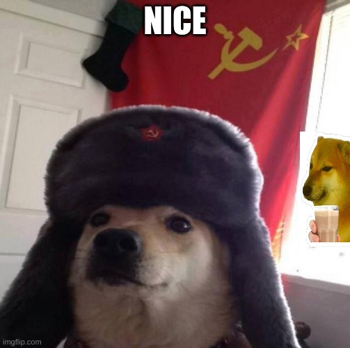 Russian Doge | NICE | image tagged in russian doge | made w/ Imgflip meme maker