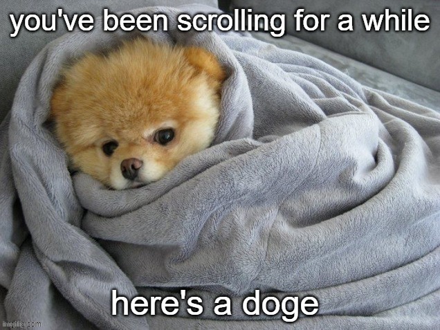 have a great day |  you've been scrolling for a while; here's a doge | image tagged in aww | made w/ Imgflip meme maker