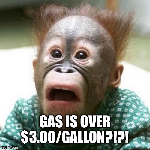 GAS IS OVER $3.00/GALLON?!?! | image tagged in shocked monkey | made w/ Imgflip meme maker