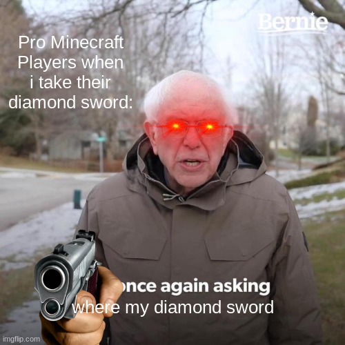 Bernie I Am Once Again Asking For Your Support Meme | Pro Minecraft Players when i take their diamond sword:; where my diamond sword | image tagged in memes,bernie i am once again asking for your support | made w/ Imgflip meme maker