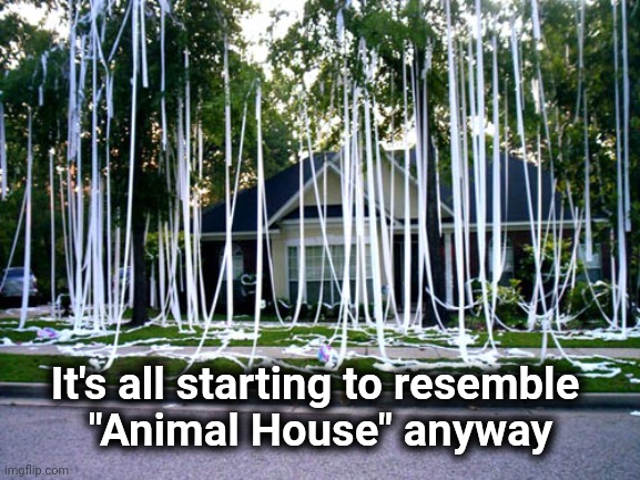 tp house | It's all starting to resemble 
"Animal House" anyway | image tagged in tp house | made w/ Imgflip meme maker