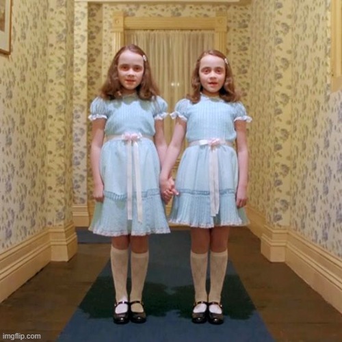 Twins from The Shining | image tagged in twins from the shining | made w/ Imgflip meme maker