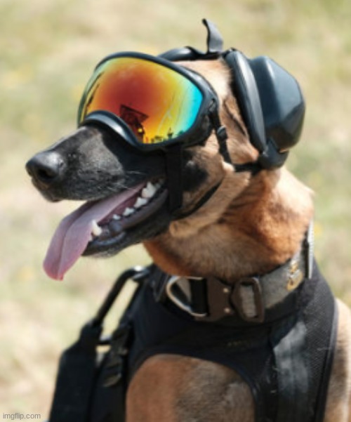 This is what Shadow is gonna look like on a mission with full gear: | made w/ Imgflip meme maker