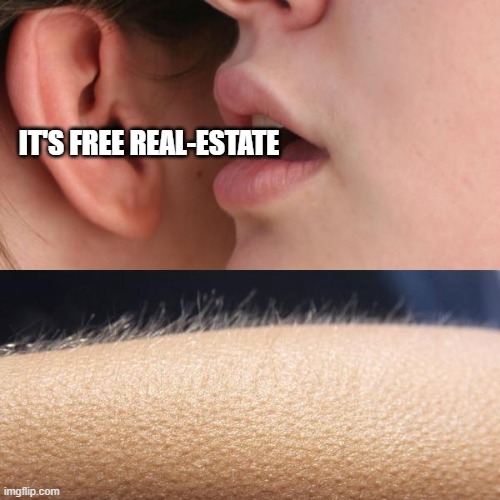 I find this funnier than it probably is lmao. But I laugh at everything I make | IT'S FREE REAL-ESTATE | image tagged in whisper in ear goosebumps,its free real estate | made w/ Imgflip meme maker