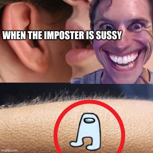 WHEN THE IMPOSTER IS SUSSY | made w/ Imgflip meme maker