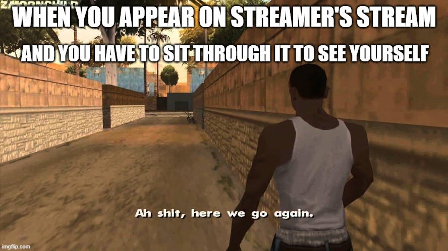 :c | WHEN YOU APPEAR ON STREAMER'S STREAM; AND YOU HAVE TO SIT THROUGH IT TO SEE YOURSELF | image tagged in here we go again | made w/ Imgflip meme maker
