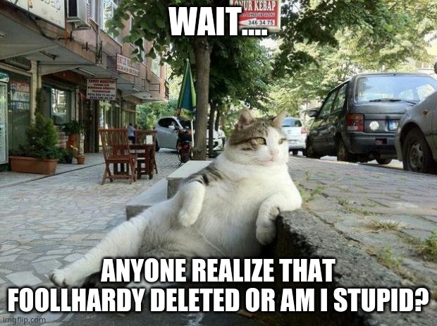 chill cat | WAIT.... ANYONE REALIZE THAT FOOLLHARDY DELETED OR AM I STUPID? | image tagged in chill cat | made w/ Imgflip meme maker