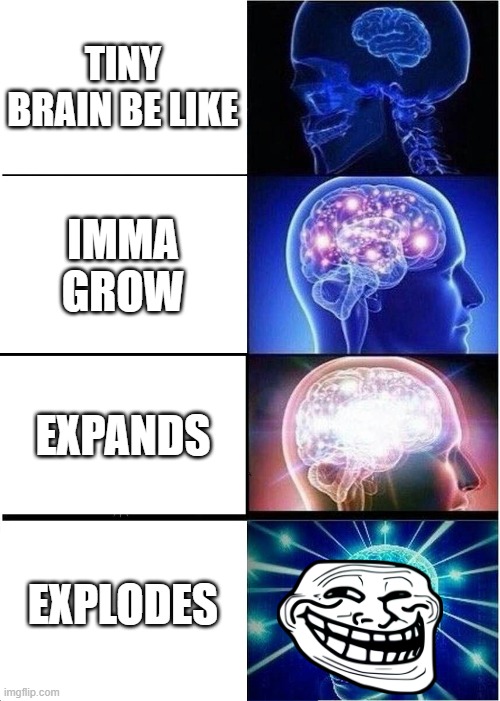 Expanding Brain | TINY BRAIN BE LIKE; IMMA GROW; EXPANDS; EXPLODES | image tagged in memes,expanding brain | made w/ Imgflip meme maker