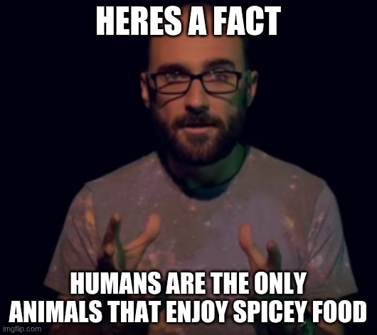 Vsauce | HERES A FACT; HUMANS ARE THE ONLY ANIMALS THAT ENJOY SPICEY FOOD | image tagged in vsauce | made w/ Imgflip meme maker