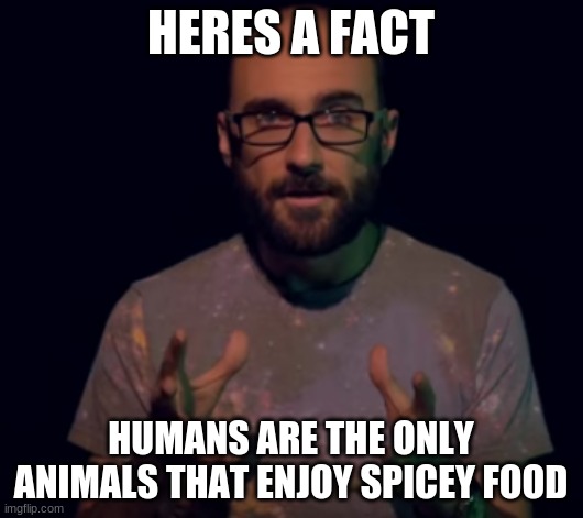 Vsauce Imgflip