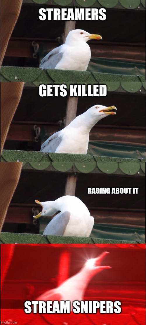 Inhaling Seagull Meme | STREAMERS; GETS KILLED; RAGING ABOUT IT; STREAM SNIPERS | image tagged in memes,inhaling seagull | made w/ Imgflip meme maker