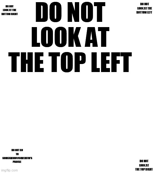 Do not look at this meme | DO NOT LOOK AT THE TOP LEFT; DO NOT LOOK AT THE BOTTOM RIGHT; DO NOT LOOK AT THE BOTTOM LEFT; DO NOT GO TO SONICSHADOWSILVERFAN'S PROFILE; DO NOT LOOK AT THE TOP RIGHT | image tagged in blank white template | made w/ Imgflip meme maker