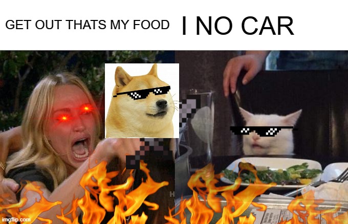 CAT IS COOL LADY IS UGLY | GET OUT THATS MY FOOD; I NO CAR | image tagged in funny memes | made w/ Imgflip meme maker