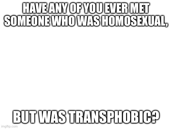 Blank White Template | HAVE ANY OF YOU EVER MET SOMEONE WHO WAS HOMOSEXUAL, BUT WAS TRANSPHOBIC? | image tagged in blank white template | made w/ Imgflip meme maker