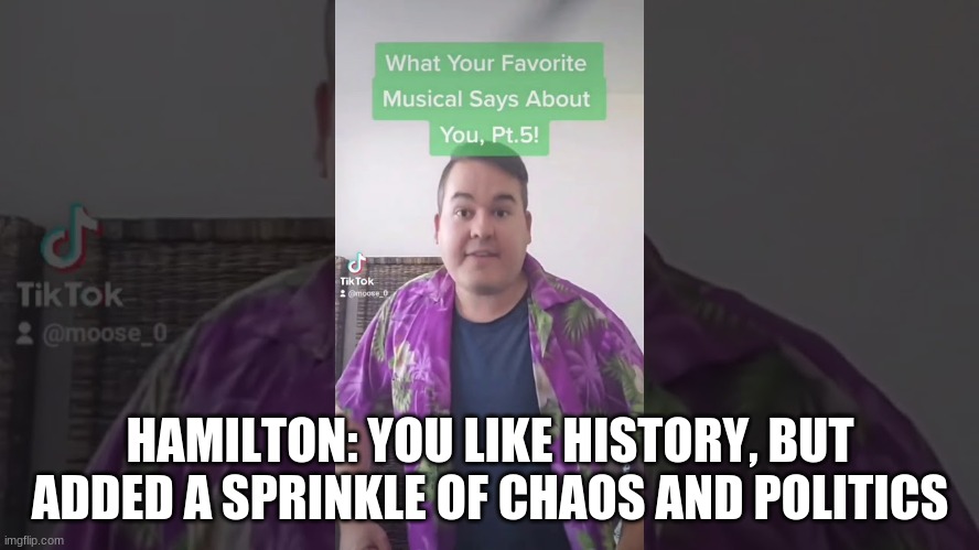 imma bout to make t h i s a t h i n g | HAMILTON: YOU LIKE HISTORY, BUT ADDED A SPRINKLE OF CHAOS AND POLITICS | image tagged in what your favorite musical | made w/ Imgflip meme maker