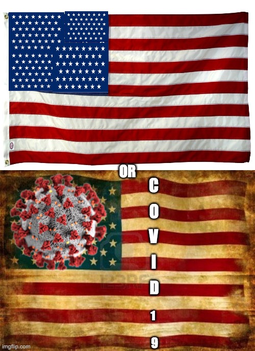 the American Flag in 5000 years this or that | OR; C; O; V; I; D; 1; 9 | image tagged in american flag,old american flag | made w/ Imgflip meme maker