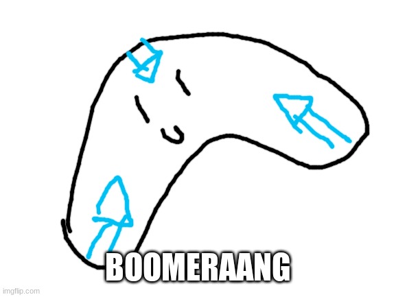 idek | BOOMERAANG | image tagged in blank white template | made w/ Imgflip meme maker