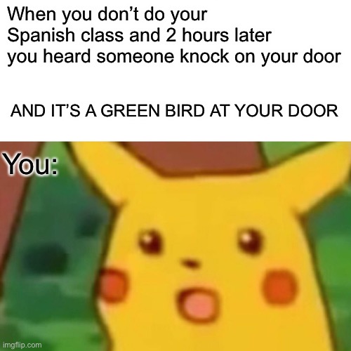 Uh oh spaghettio’s | When you don’t do your Spanish class and 2 hours later you heard someone knock on your door; AND IT’S A GREEN BIRD AT YOUR DOOR; You: | image tagged in memes,surprised pikachu | made w/ Imgflip meme maker