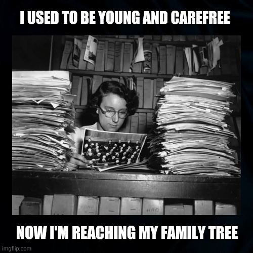 Family Tree | I USED TO BE YOUNG AND CAREFREE; NOW I'M REACHING MY FAMILY TREE | image tagged in genealogy,family tree,ancestory,funny genealogy memes,funny,growing older | made w/ Imgflip meme maker