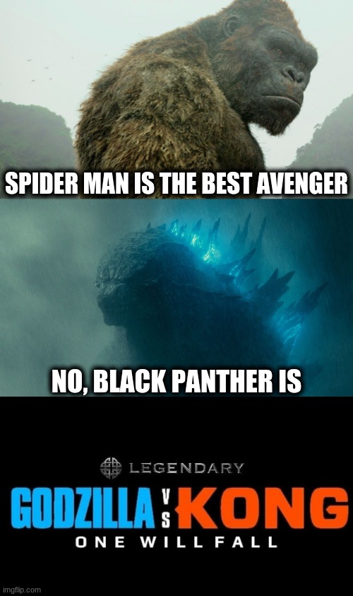 why they really fought | SPIDER MAN IS THE BEST AVENGER; NO, BLACK PANTHER IS | image tagged in godzilla vs kong | made w/ Imgflip meme maker