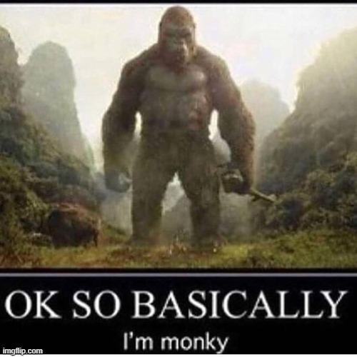 OK SO BASICALLLY I'm monky | image tagged in ok so basicallly i'm monky | made w/ Imgflip meme maker