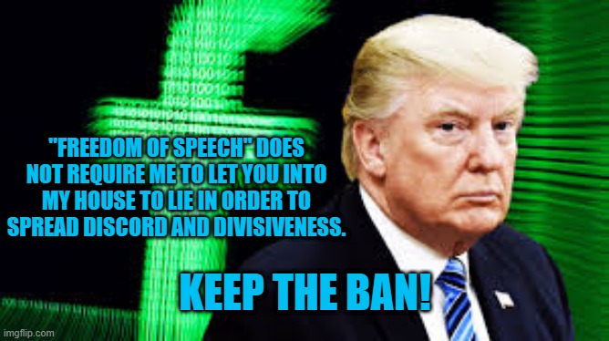 Ban The Teller Of "The Big Lie!" | "FREEDOM OF SPEECH" DOES NOT REQUIRE ME TO LET YOU INTO MY HOUSE TO LIE IN ORDER TO SPREAD DISCORD AND DIVISIVENESS. KEEP THE BAN! | image tagged in politics | made w/ Imgflip meme maker