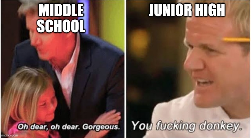 middle school-vs-junior high | MIDDLE SCHOOL; JUNIOR HIGH | image tagged in gordon ramsay kids vs adults | made w/ Imgflip meme maker