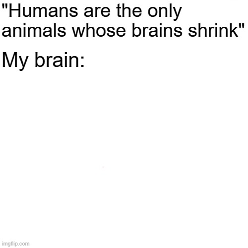 Comment with an image when you find it. | "Humans are the only animals whose brains shrink"; My brain: | image tagged in memes,small brain,find it | made w/ Imgflip meme maker