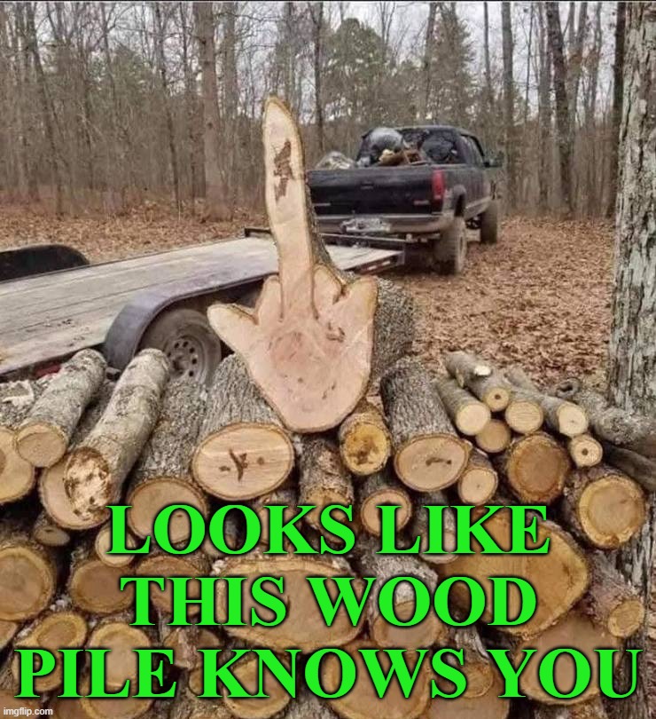 Knows you. | LOOKS LIKE THIS WOOD PILE KNOWS YOU | image tagged in wood,the more you know | made w/ Imgflip meme maker