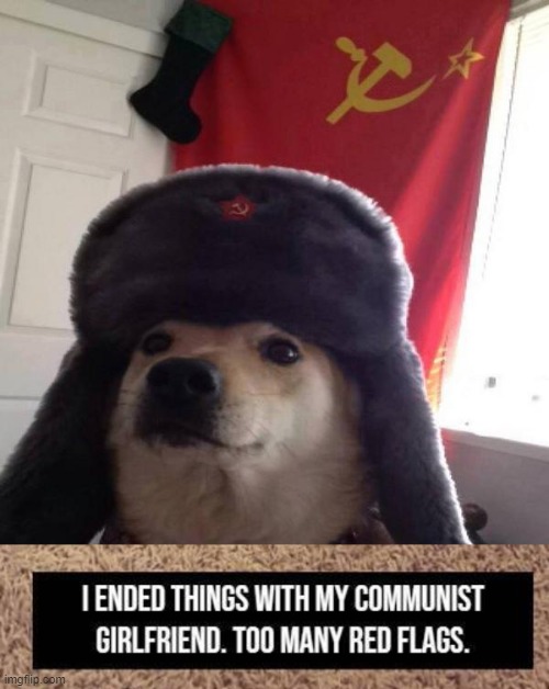 image tagged in russian doge | made w/ Imgflip meme maker