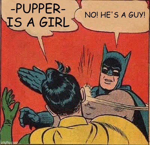 Batman Slapping Robin Meme | -PUPPER- IS A GIRL; NO! HE'S A GUY! | image tagged in memes,batman slapping robin | made w/ Imgflip meme maker