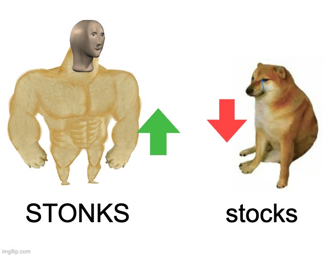 Buff Doge vs. Cheems | STONKS; stocks | image tagged in memes,buff doge vs cheems | made w/ Imgflip meme maker