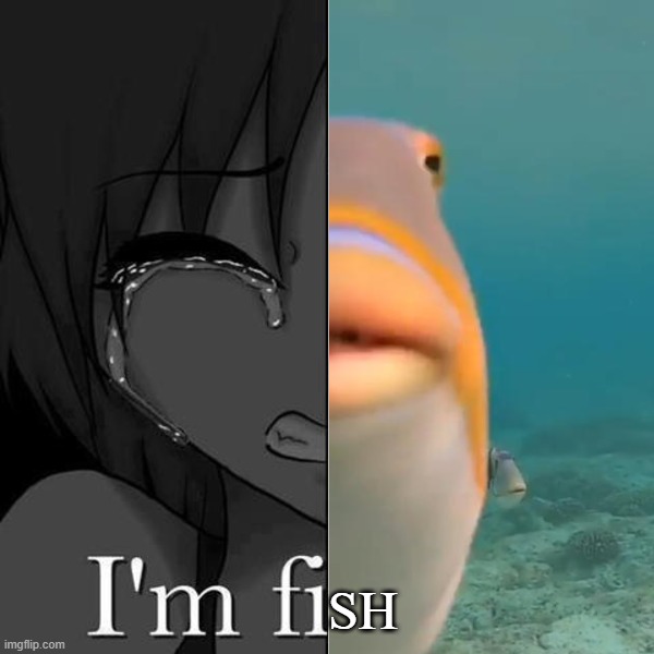 SH | made w/ Imgflip meme maker