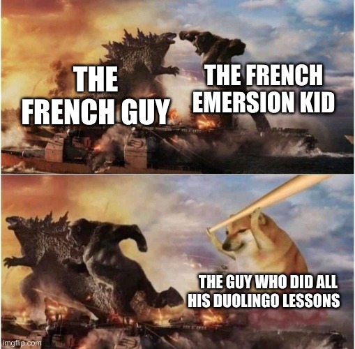 Duodoge | THE FRENCH EMERSION KID; THE FRENCH GUY; THE GUY WHO DID ALL HIS DUOLINGO LESSONS | image tagged in kong godzilla doge | made w/ Imgflip meme maker